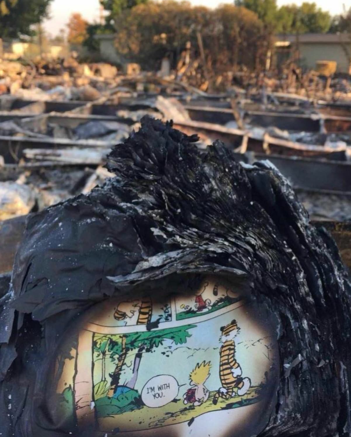 28 Disastrous Photos of the California Wildfires